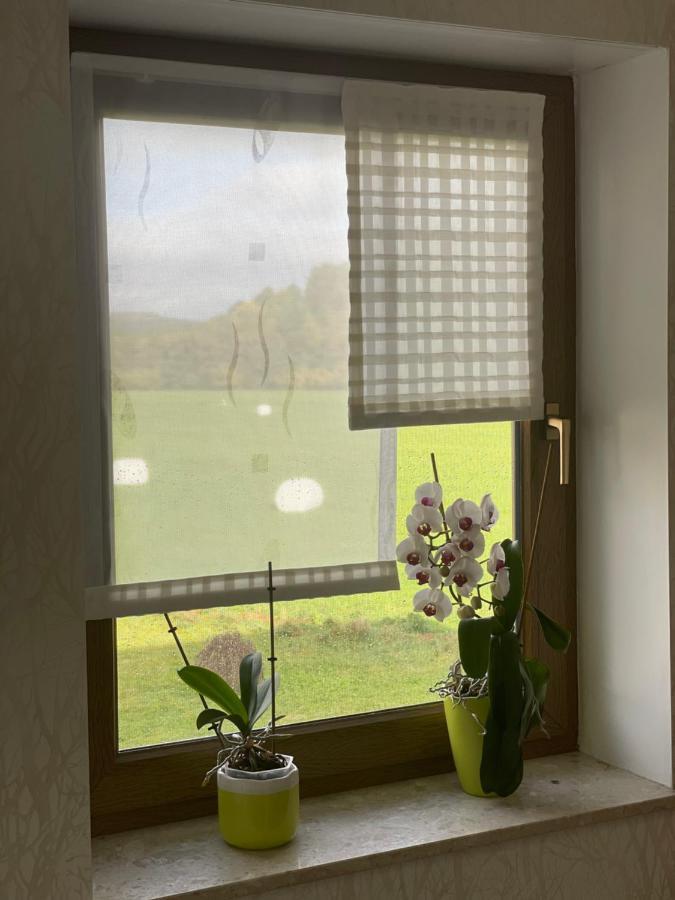 Ferienwohnung Fam.Werner Wasungen Bagian luar foto